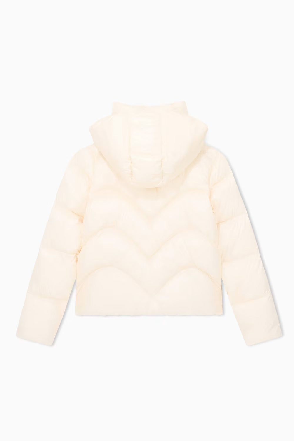 piumino con zip e cappuccio 7W001665 AF16413U1062 EA7 Emporio Armani