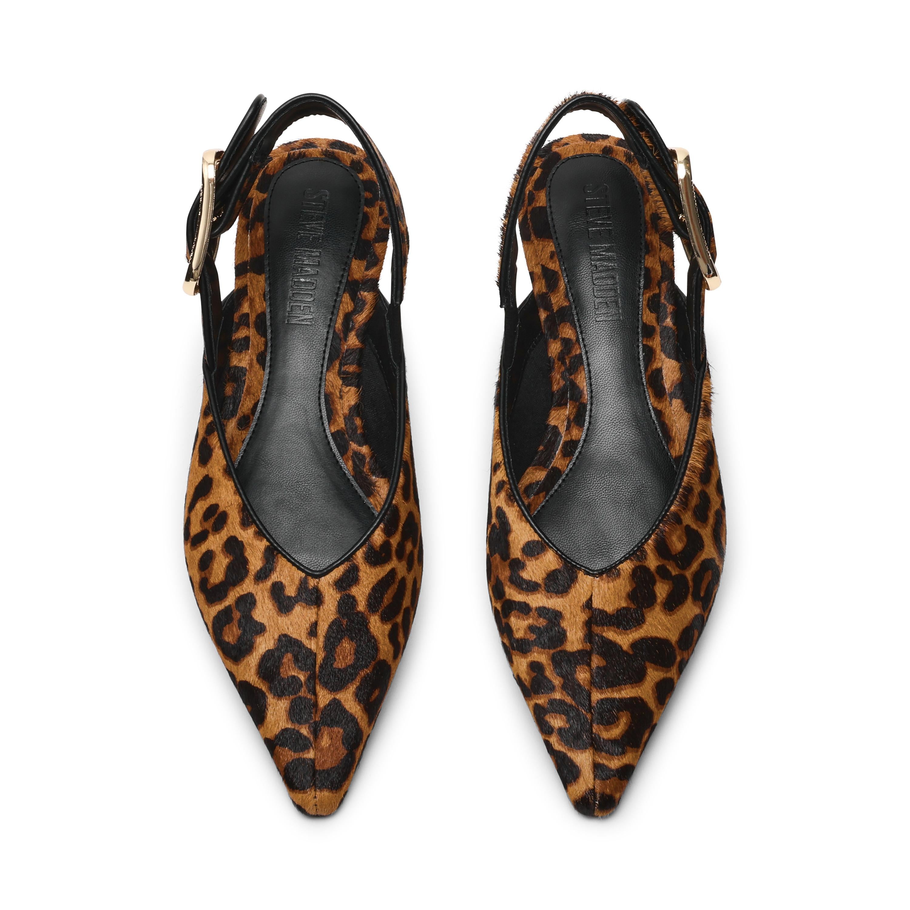 SIANNA-L /LEOPARD Steve Madden