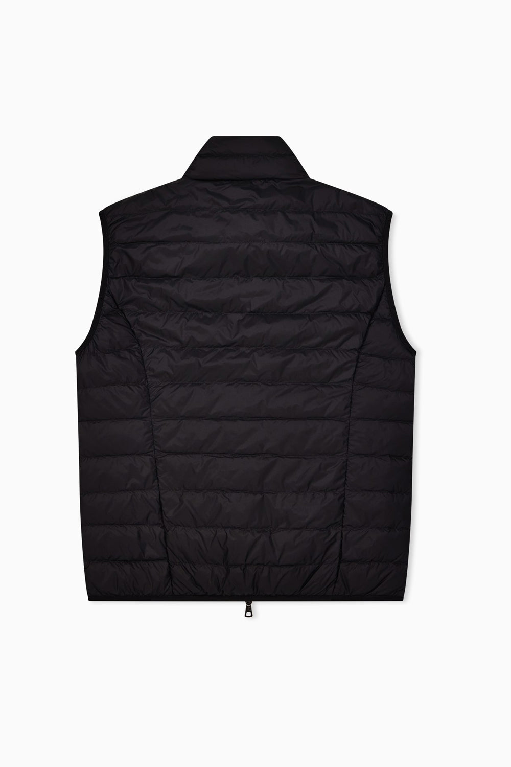  8NPQ06 PNGPZ0208 EA7 Emporio Armani 