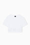 Cropped T-Shirt basic in jersey di cotone XW001709 AF17172U0002 Armani Exchange 