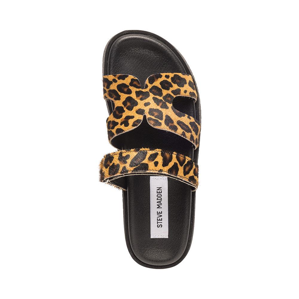  MISSILE-L LEOPARD Steve Madden 