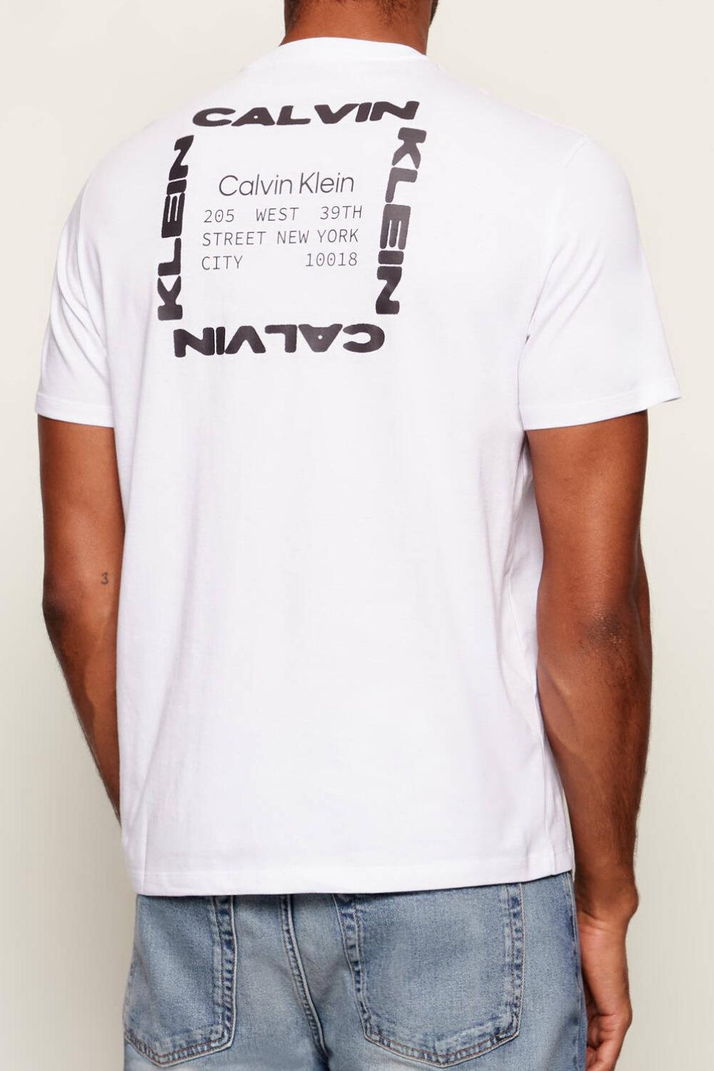 T-shirt Uomo Calvin Klein con Logo Stampato e Design Minimal LV14RE830G /YAA Calvin Klein 