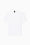 t-shirt EA7 a maniche corte in cotone
