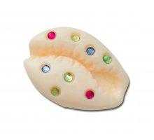  5007 GEM PUKA SHELL Crocs 