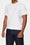 Cotton Crew Neck T-Shirt<br>