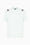 T-shirt girocollo 7 Lines in jersey di cotone EA7 Emporio Armani