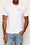T-shirt Uomo Calvin Klein con Logo Stampato e Design Minimal